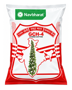 GCH-4 Hybrid Castor Seeds