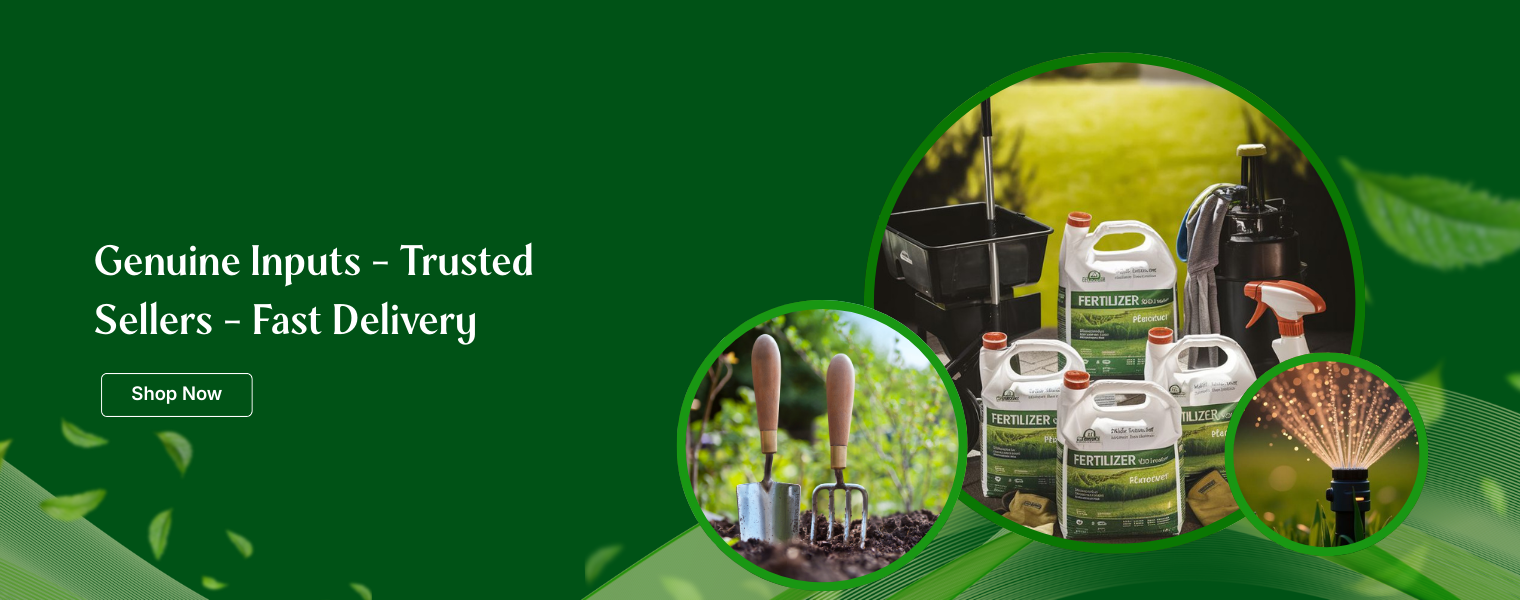 slider image slider_item_LxPfGc