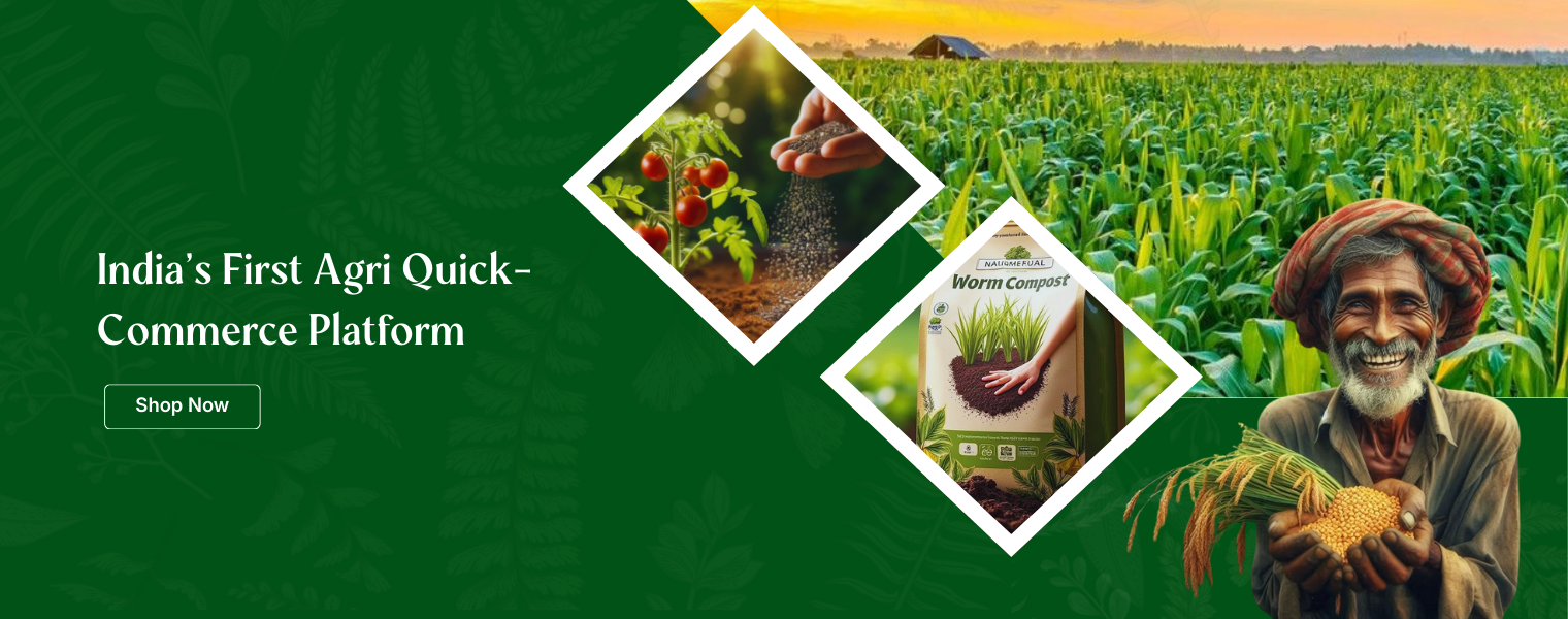 slider image 1621243260e1af0c20-0