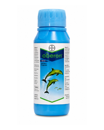 Oberon Insecticide