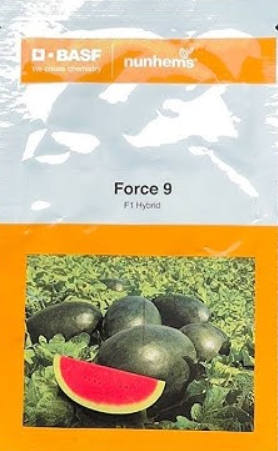 Force-9 Watermelon Seeds