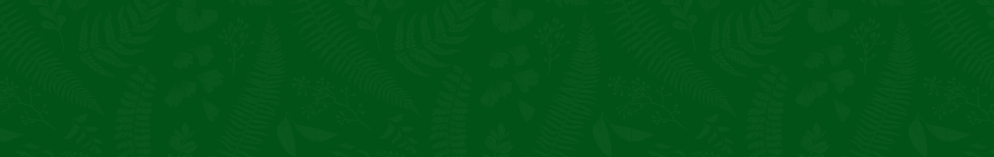 collection-banner-image