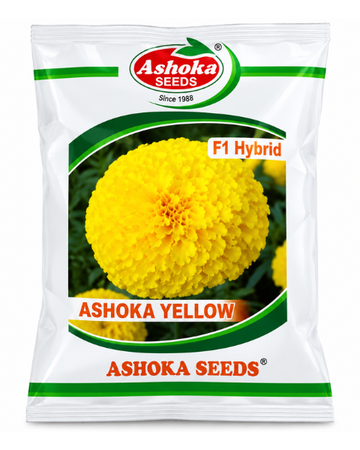 Ashoka Royal Yellow Marigold Seeds