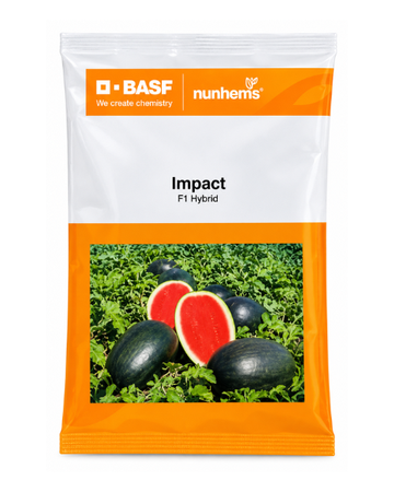 Watermelon Impact
