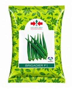 East West Brigadier F1 Bhendi Seeds