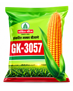 GK-3057 Maize Seeds