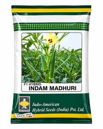 Madhuri Bhendi Seeds