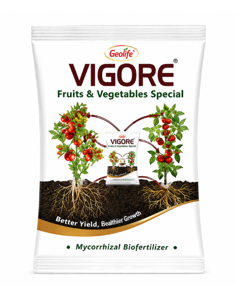 Geolife Vigore Fruits & Vegetables Special Biofertilizer