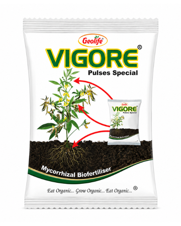 Geolife Vigore Pulses Special Bio Fertilizer