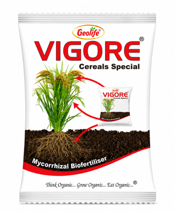 Geolife Vigore Cereal Special Bio Fertilizer