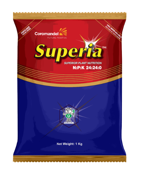 Superia 24-24-0 Water Soluble Fertilizer