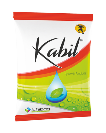 Kabil Fungicide Broad-Spectrum Disease Control  for Sheath Blight