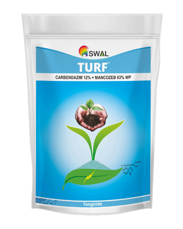 Turf Fungicide (Carbendazim 12% + Mancozeb 63% WP) Broad-Spectrum Disease Control