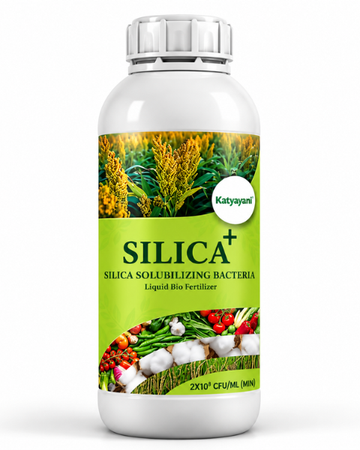 Katyayani Silica + Silica Liquid Bacteria Liquid Bio Fertilizer