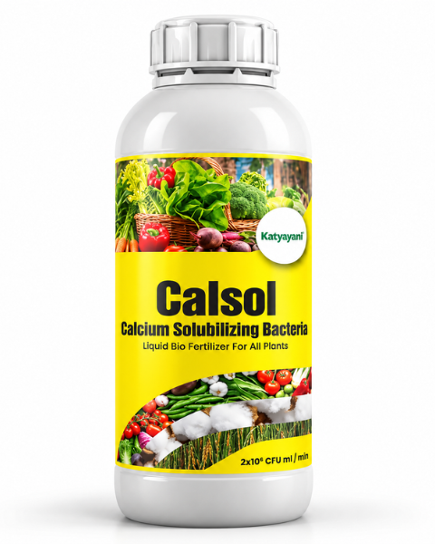 Katyayani Calsol calcium solubilizing bacteria Bio fertilizer