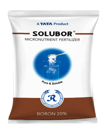 Rallis Solubor - Boron 20% Micronutrient Fertilizer