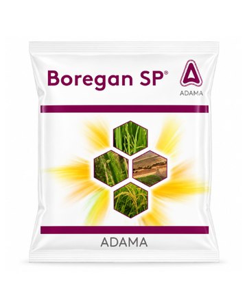 Boregan SP insecticide