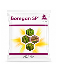 Boregan SP insecticide