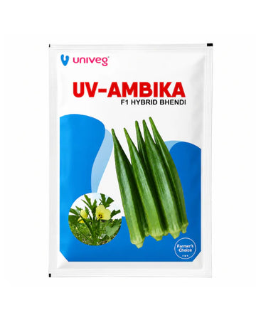 Univeg Ambhika F1 Hybrid Bhendi Seeds