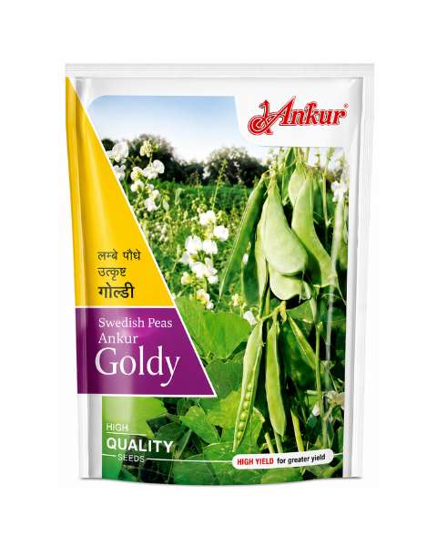 Goldy Dolichos Bean Seeds
