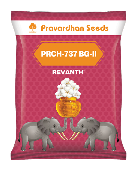 Revanth PRCH-737 BG-II Hybrid Cotton Seeds