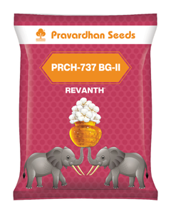 Revanth PRCH-737 BG-II Hybrid Cotton Seeds