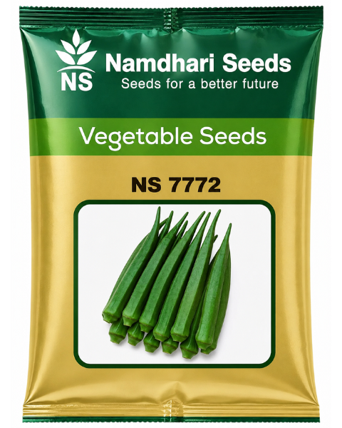 NS 7772 Bhendi Seeds