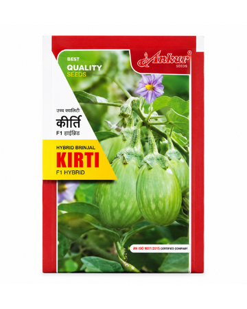 Kirti Brinjal Seeds