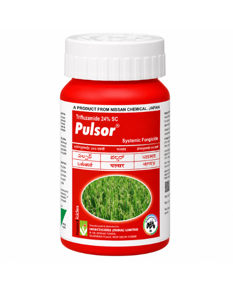 Pulsor Fungicide Thifluzamide 24% SC for Sheath Blight Control in Paddy