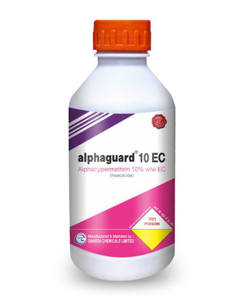 Alphaguard 10 EC Insecticide Alphacypermethrin 10% EC for Bollworm Control In Cotton