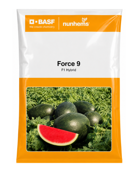 Force-9 Watermelon Seeds