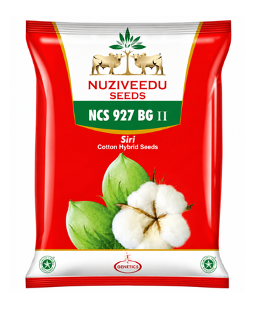Siri NCS-927 Cotton Seeds