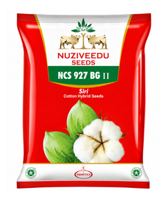 Siri NCS-927 Cotton Seeds