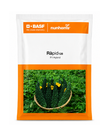 Nunhems Rapid 128 F1 Hybrid Bitter gourd Seeds