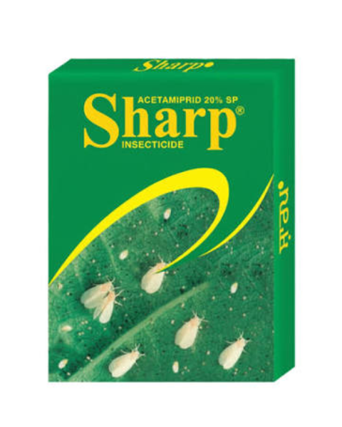 Sharp Insecticide Acetamiprid 20% SP for Sucking Pest Control in Cotton