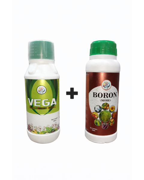 Vega Bio Insecticide + Boron Micronutrient Combo For Chilli