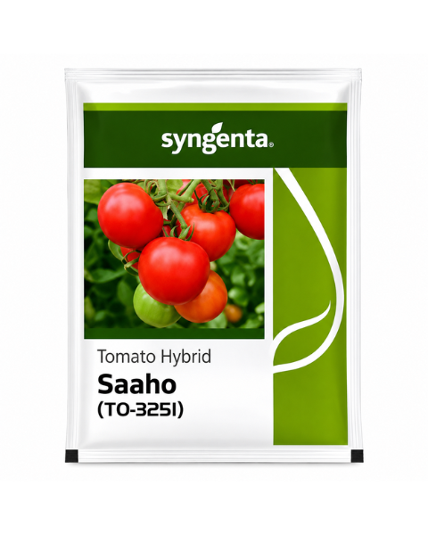 Saaho TO - 3251 Tomato Seeds