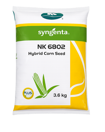 NK-6802 Maize Seeds