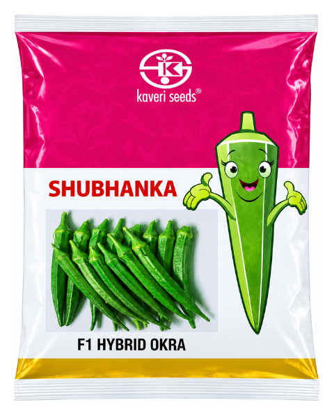 Shubhanka F1 Hybrid Bhendi Seeds