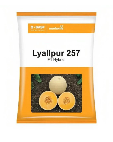 Lyallpur 257 F1 Hybrid Muskmelon Seeds