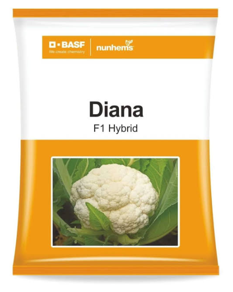 Diana F1 Hybrid Cauliflower Seeds