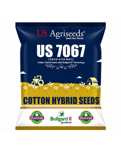 US 7067 BG II Cotton Seeds