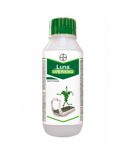 Luna Experience Fungicide