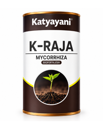 Katyayani K Raja Mycorrhizal Biofertilizer