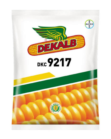 DEKALB 9217 (DKC 9217) F1 Hybrid Maize Seeds