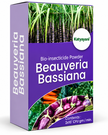 Katyayani Beauveria Bassiana Powder Bio Insecticide