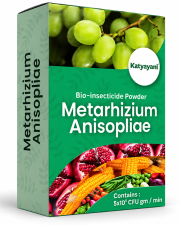 Katyayani Metarhizium Anisopliae Powder Bio Insecticide