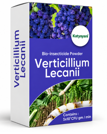 Katyayani Verticillium Lecanii Powder Bio Insecticide Powder