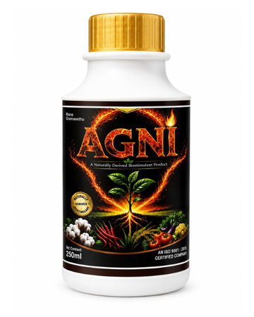 Agni Bio Insecticide for effective control of whiteflies, aphids, and sucking pests in cotton, chilli, paddy, and vegetable crops