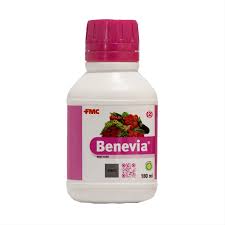 Benevia Insecticide Cyantraniliprole 10.26% OD by FMC